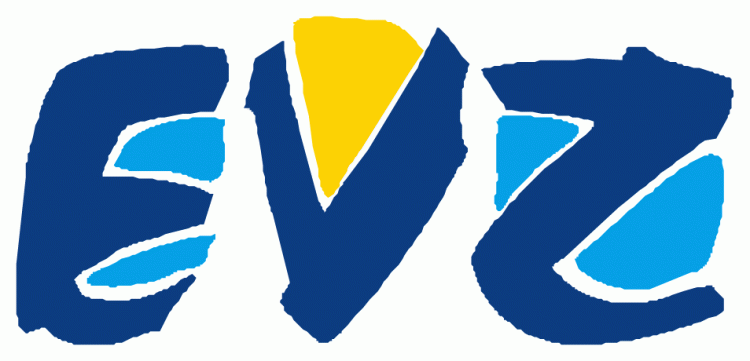EV Zug 1999-2009 Primary Logo iron on heat transfer